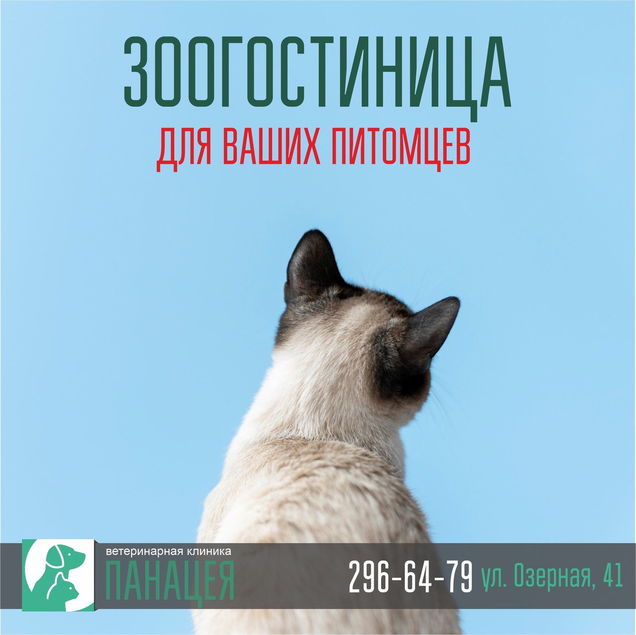 Гостиница для мелких животных: кошки, черепахи, морские свинки, крысы,  кролики, хомячки в Красноярске в Справочной уcлуг 2999999.ru