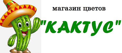 Солярий кактус орел. Логотип цветочного магазина с кактусом. Магазин Кактус Орел. Кактус Котлас. Магазин Кактус Северодвинск.